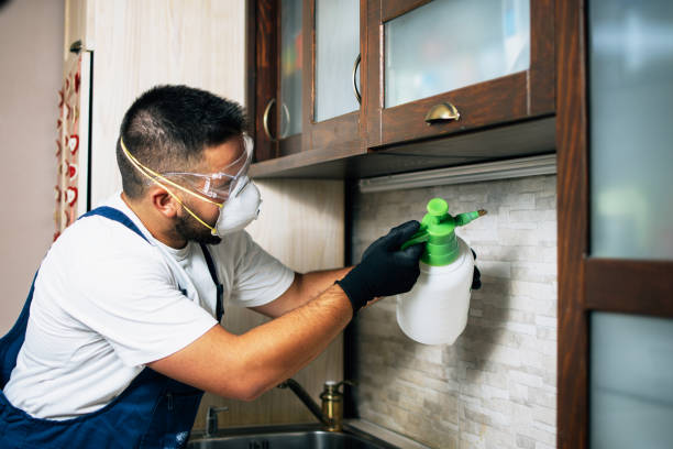 Best Bed Bug Extermination  in Dayton, KY