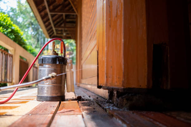 Best Best Pest Control Companies  in Dayton, KY